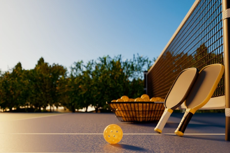 pickleball paddle and yellow ball lay on the court