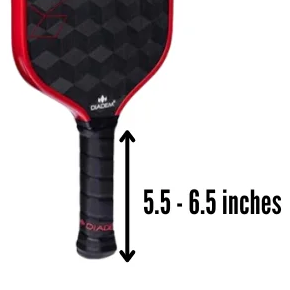 a long handle pickleball paddle from EDGE