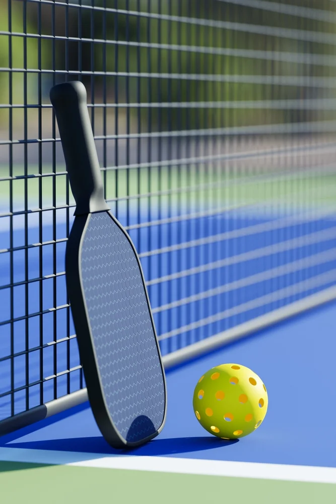 pickleball paddle and ball lay on court